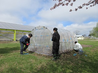 ビニールハウス①