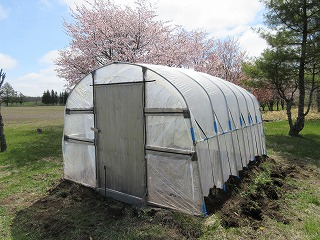 ビニールハウス②