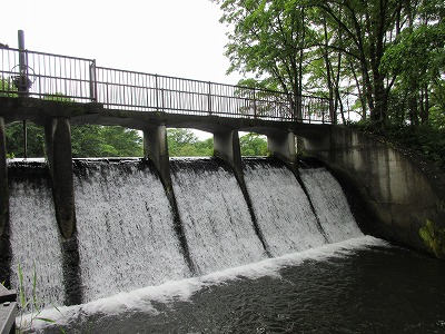 シュワンベツダム