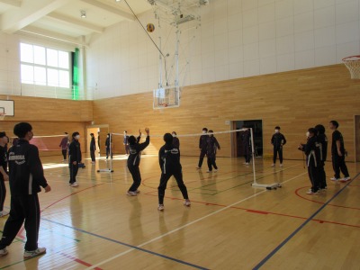 バレーボール バレーボール