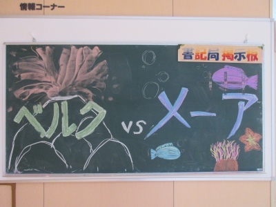 掲示板
