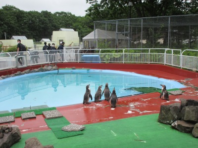 宿泊研修⑪