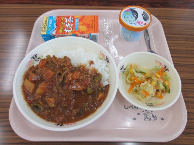 夏野菜カレーとしべちゃアイス