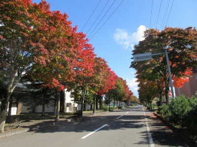 紅葉もう少し①