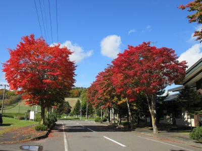 紅葉もう少し②