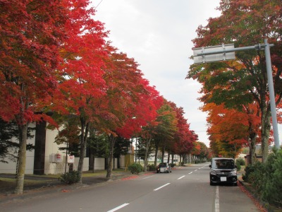 紅葉ピーク①？