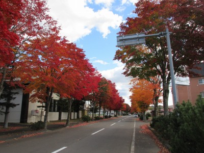 紅葉おわり①